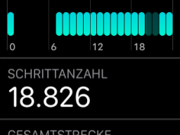 Errichtungs Vereinshaus 06-07/2019