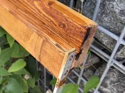 Errichtungs Vereinshaus 06-07/2019