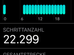 Errichtungs Vereinshaus 06-07/2019