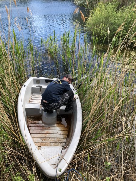Rodungsarbeiten 10.05.2019