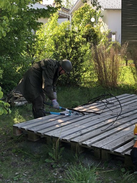 Rodungsarbeiten 10.05.2019