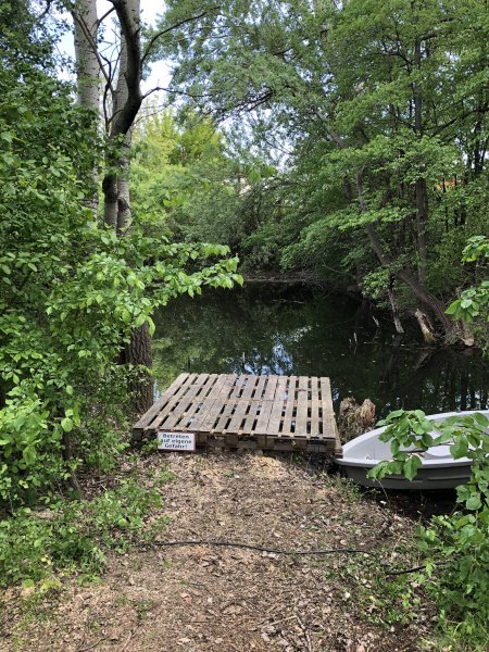 Rodungsarbeiten 10.05.2019