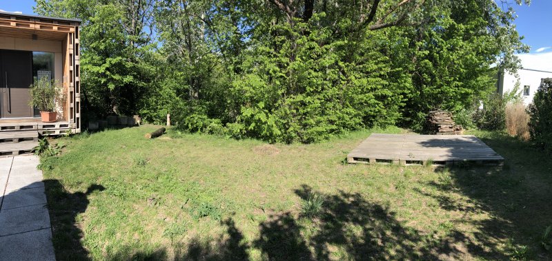 Rodungsarbeiten 10.05.2019