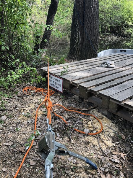 Rodungsarbeiten 10.05.2019
