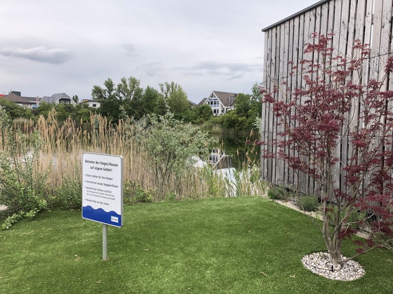 Rodungsarbeiten 10.05.2019