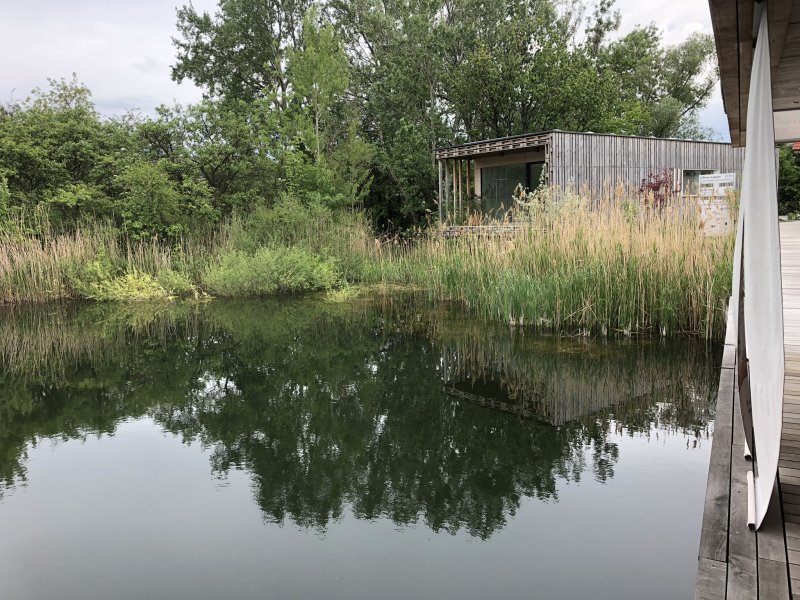 Rodungsarbeiten 10.05.2019