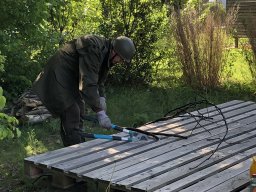 Rodungsarbeiten 10.05.2019