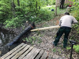 Rodungsarbeiten 10.05.2019