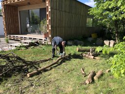 Rodungsarbeiten 10.05.2019