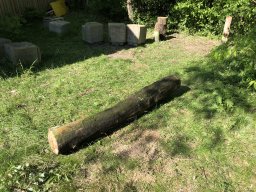 Rodungsarbeiten 10.05.2019