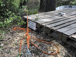Rodungsarbeiten 10.05.2019
