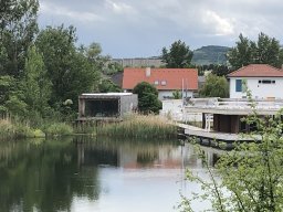Rodungsarbeiten 10.05.2019