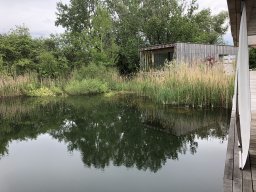Rodungsarbeiten 10.05.2019