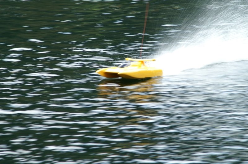 Lunz 2005
