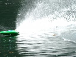 Lunz 2005