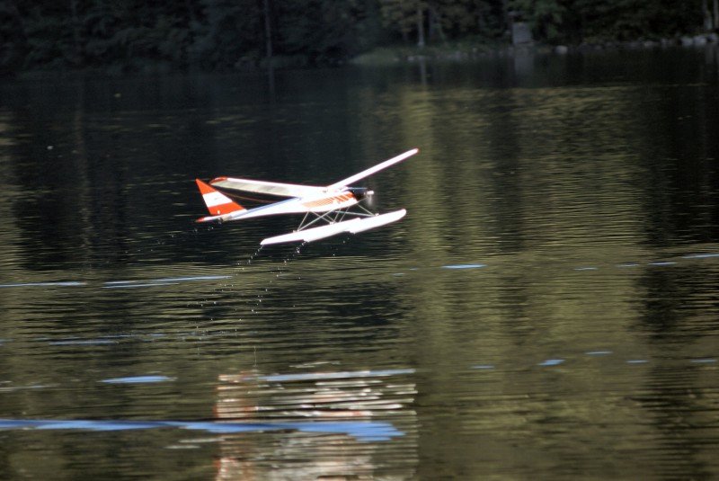 Lunz 2006
