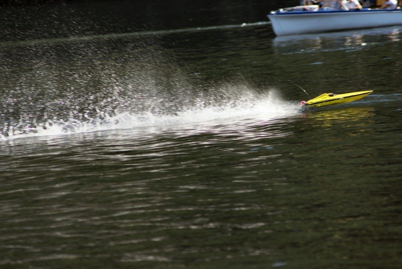 Lunz 2006