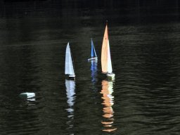 Lunz 2006