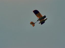 Lunz 2006