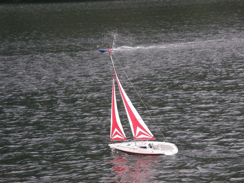 Lunz 2008