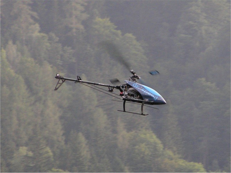 Lunz 2008