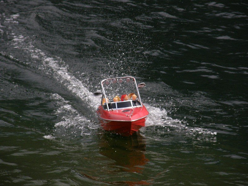 Lunz 2008