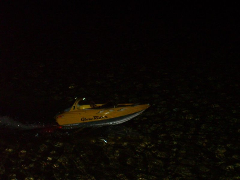 Lunz 2008