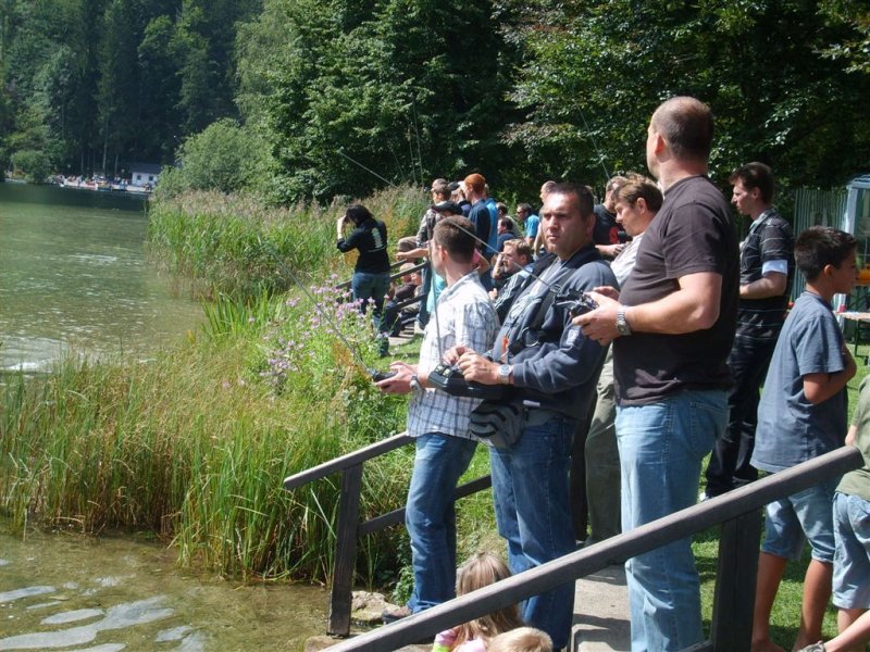 Lunz 2008