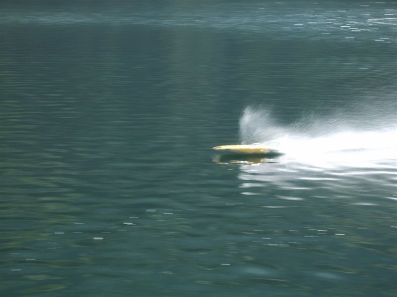 Lunz 2008