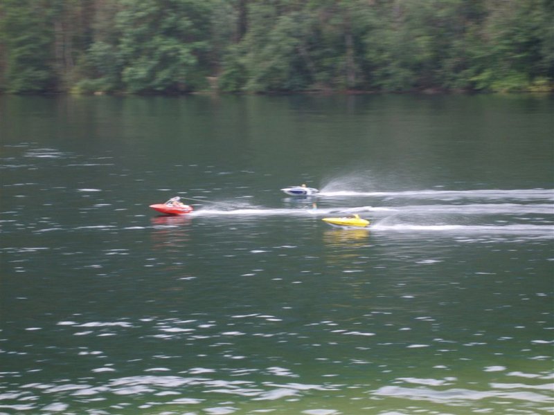 Lunz 2008