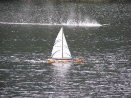 Lunz 2008