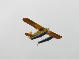 Lunz 2008