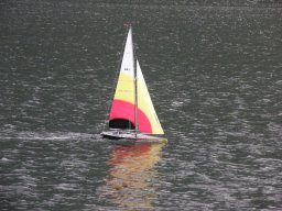 Lunz 2008
