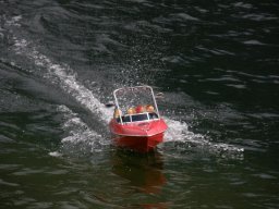 Lunz 2008