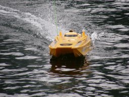 Lunz 2008