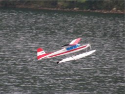 Lunz 2008