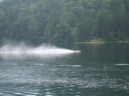 Lunz 2008