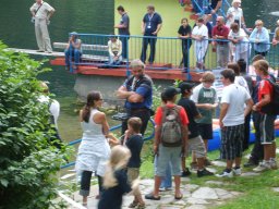 Lunz 2008