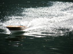 Lunz 2009