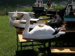 Lunz 2009