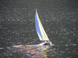Lunz 2009