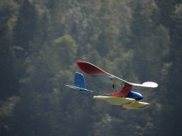 Lunz 2009