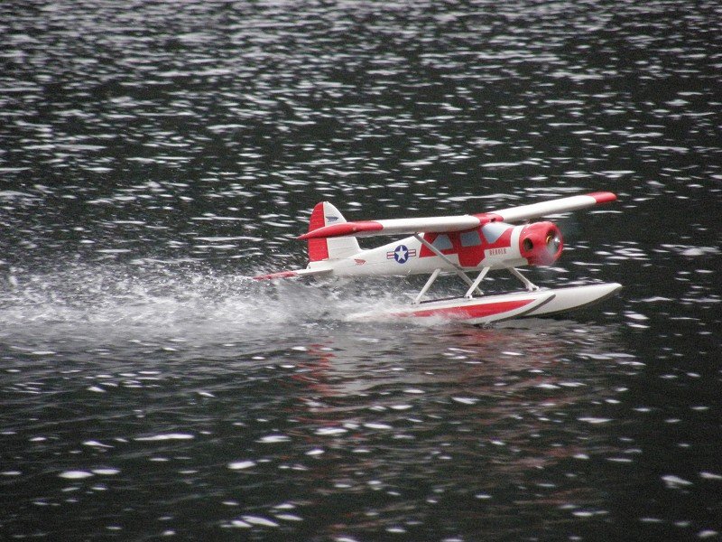 Lunz 2010