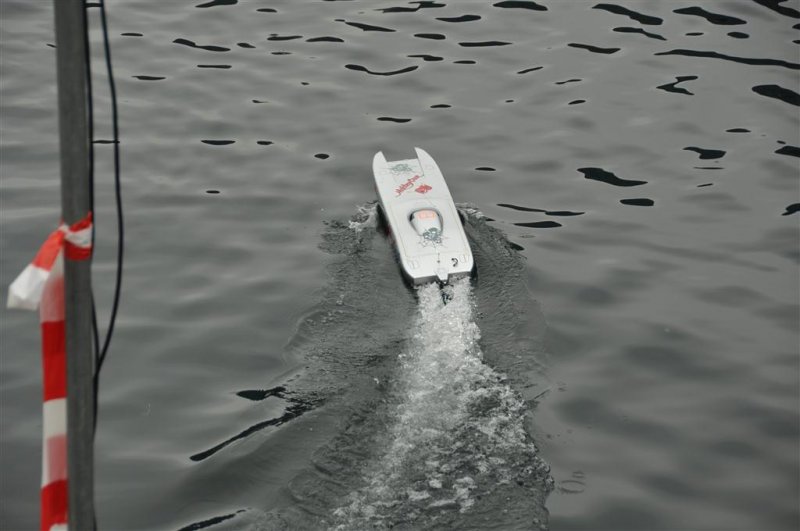 Lunz 2011