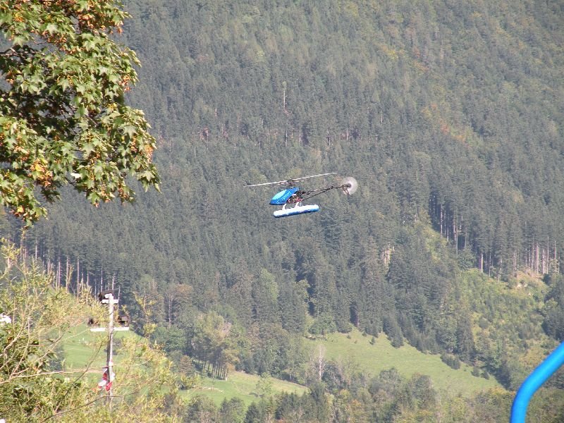 Lunz 2011