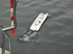 Lunz 2011