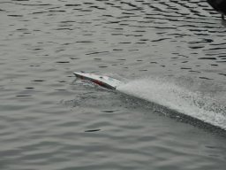 Lunz 2011
