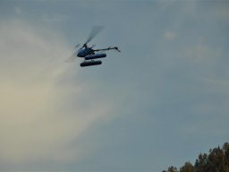 Lunz 2011