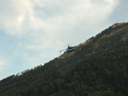 Lunz 2011