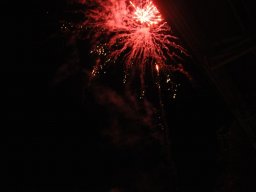 Lunz 2011